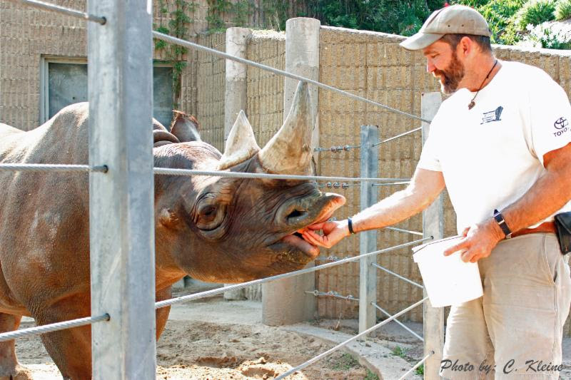 Behind-the-Scenes Tour of Denver Zoo Rhino Enclosure